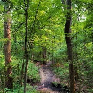 Meet your Posher, Bella